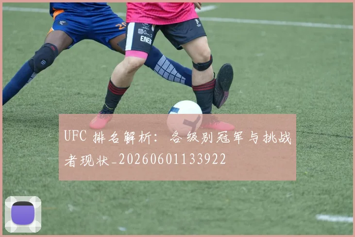 UFC 排名解析：各级别冠军与挑战者现状_20260601133922
