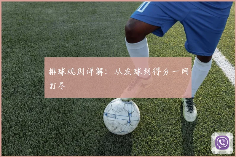 排球规则详解:从发球到得分一网打尽
