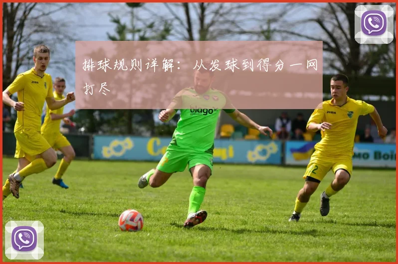 排球规则详解：从发球到得分一网打尽