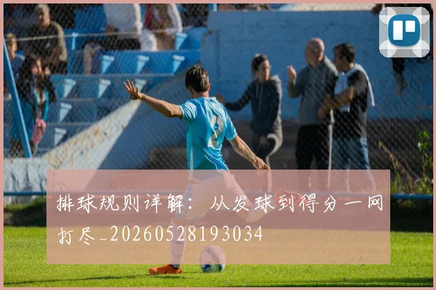 排球规则详解：从发球到得分一网打尽_20260528193034